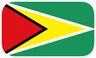 Flag for Guyana